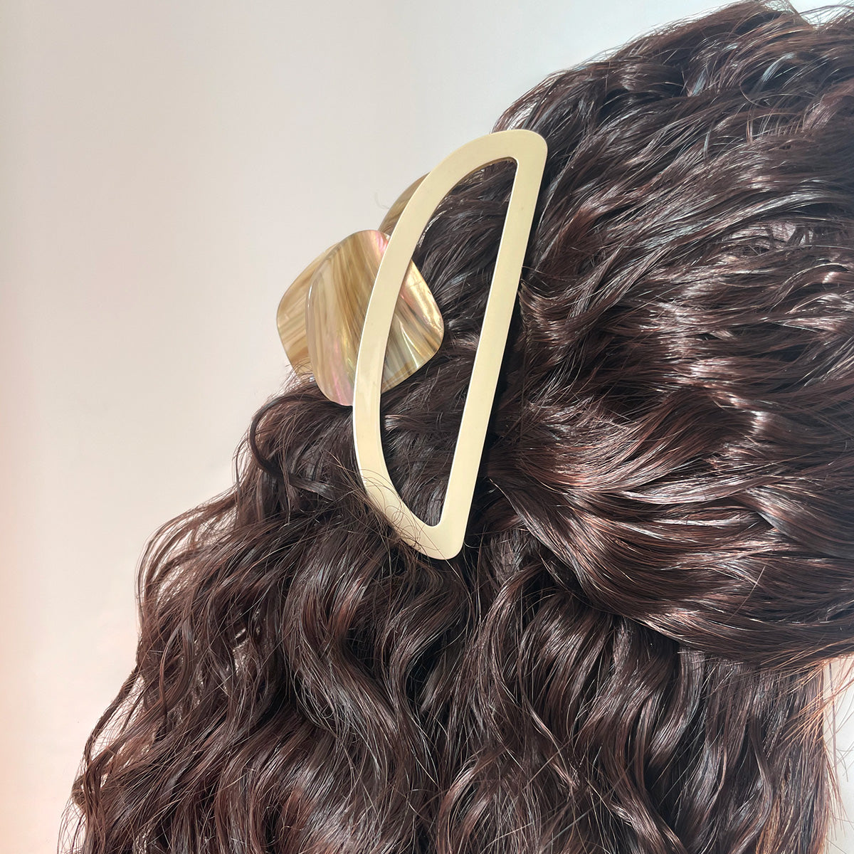 Modern Minimalist Tortoiseshell Geometric Claw Clip【varieties】
